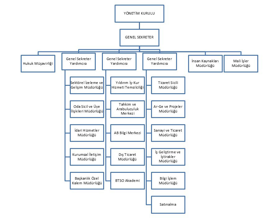 Organizational Chart